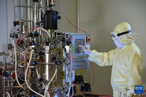 沈陽(yáng) 培育醫(yī)藥及醫(yī)療裝備產(chǎn)業(yè) 激活振興發(fā)展新動(dòng)能